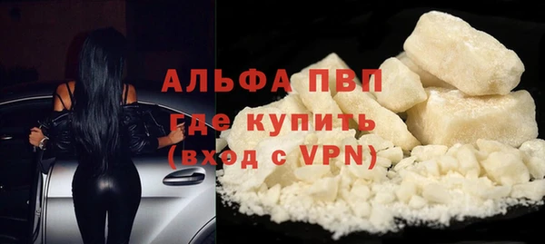 шишки Новокубанск