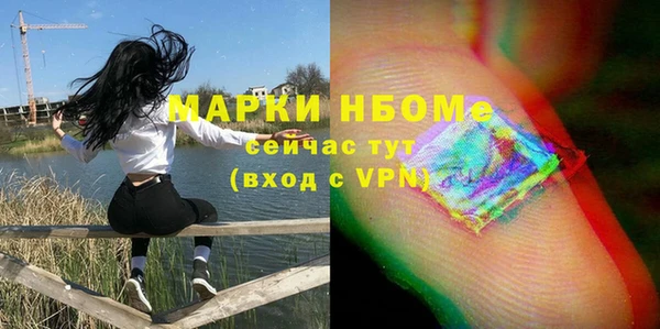 шишки Новокубанск