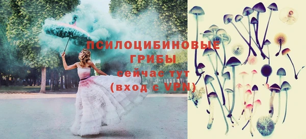 ПСИЛОЦИБИНОВЫЕ ГРИБЫ Алексеевка