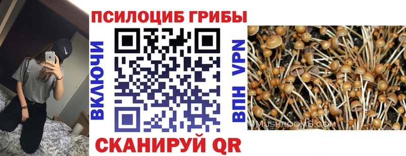 ссылка на мегу как войти  Ясный  Псилоцибиновые грибы MAGIC MUSHROOMS 